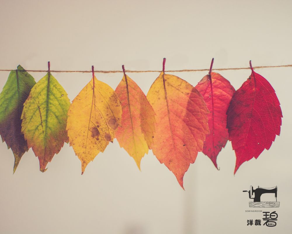 canva